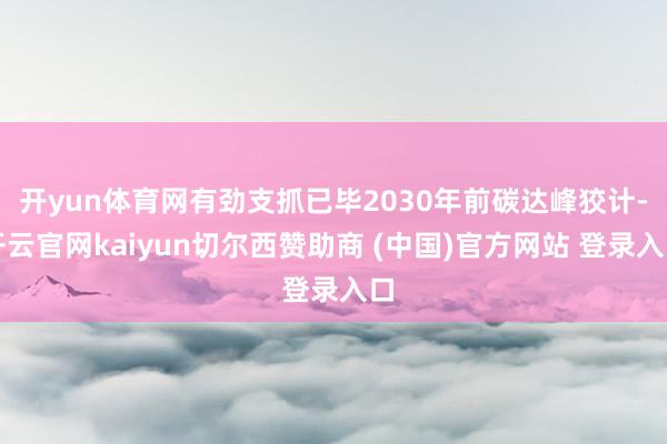 开yun体育网有劲支抓已毕2030年前碳达峰狡计-开云官网kaiyun切尔西赞助商 (中国)官方网站 登录入口